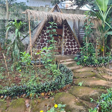 Backpacker Hostel And Jungle Trekking Banlung Экстерьер фото
