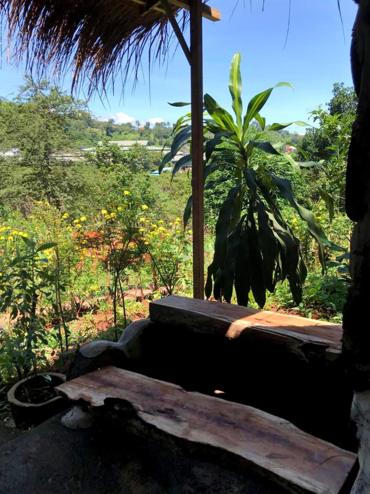 Backpacker Hostel And Jungle Trekking Banlung Экстерьер фото